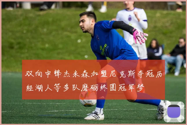 双向中锋杰米森加盟尼克斯夺冠历经湖人等多队磨砺终圆冠军梦