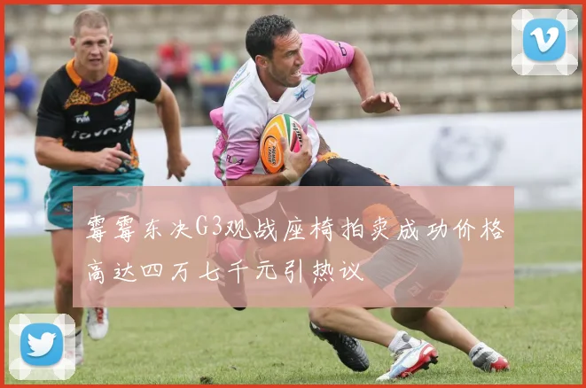 霉霉东决G3观战座椅拍卖成功价格高达四万七千元引热议